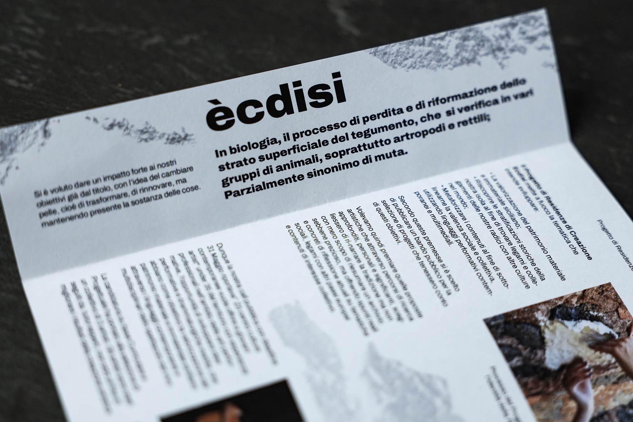 ecdisi